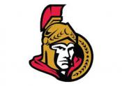 Ottawa Senators 5×7 Team Decal