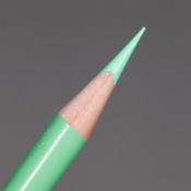 Prismacolor Premier Coloured Pencil - Light Green (PC920)