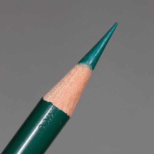 Premier Colored Pencil - Peacock