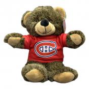 Montreal Canadiens 14